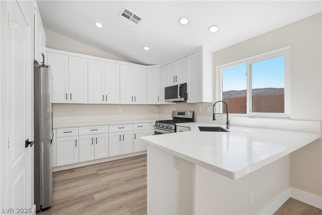 6983 Flowering Willow Street Property Photo 13