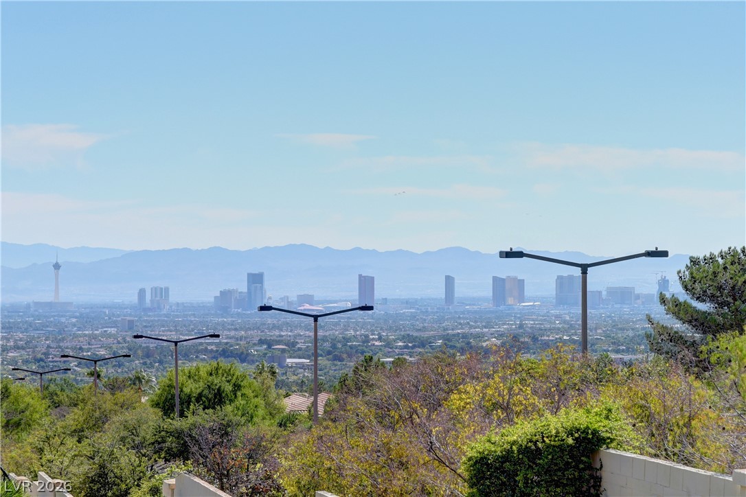 11049 Clear Meadows Drive Property Photo 27