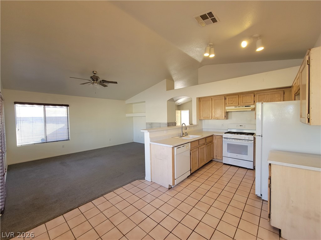 8020 Hurricane Cove Court 0 Property Photo 6