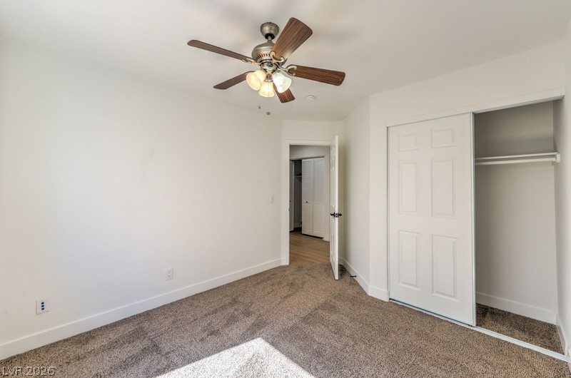 2717 Camphor Tree Street Property Photo 17