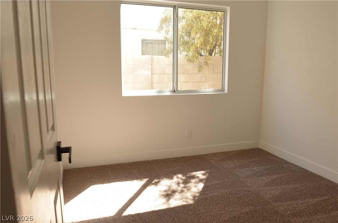 2717 Camphor Tree Street Property Photo 20