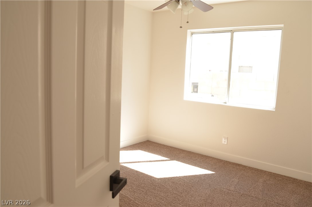 2717 Camphor Tree Street Property Photo 21