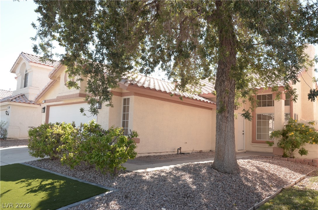 2717 Camphor Tree Street Property Photo 29