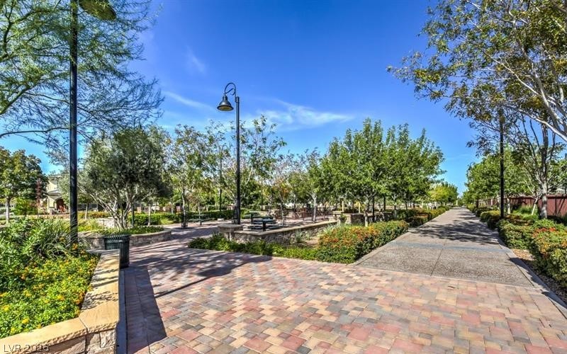 3513 Lamberto Cliff Way Property Photo 73