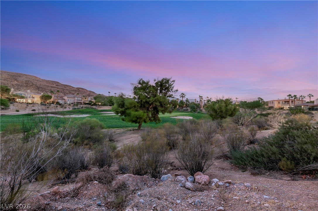 2575 Turtle Head Peak Drive Property Photo 23
