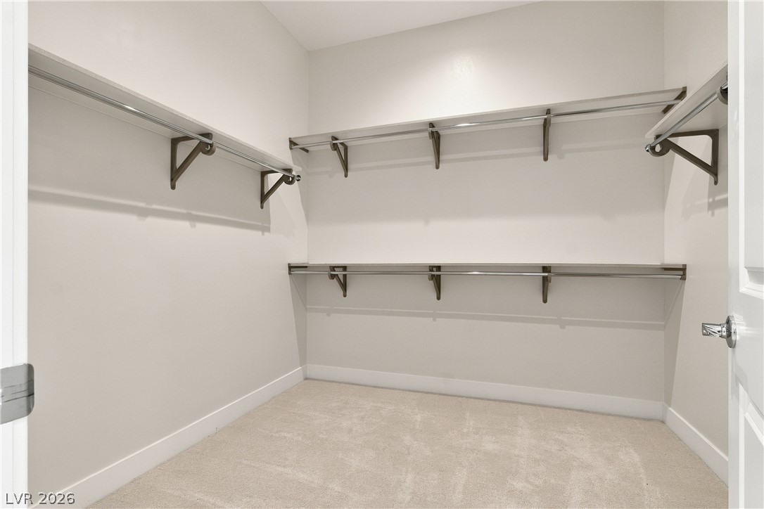 10761 Canyon Bloom Drive Property Photo 47