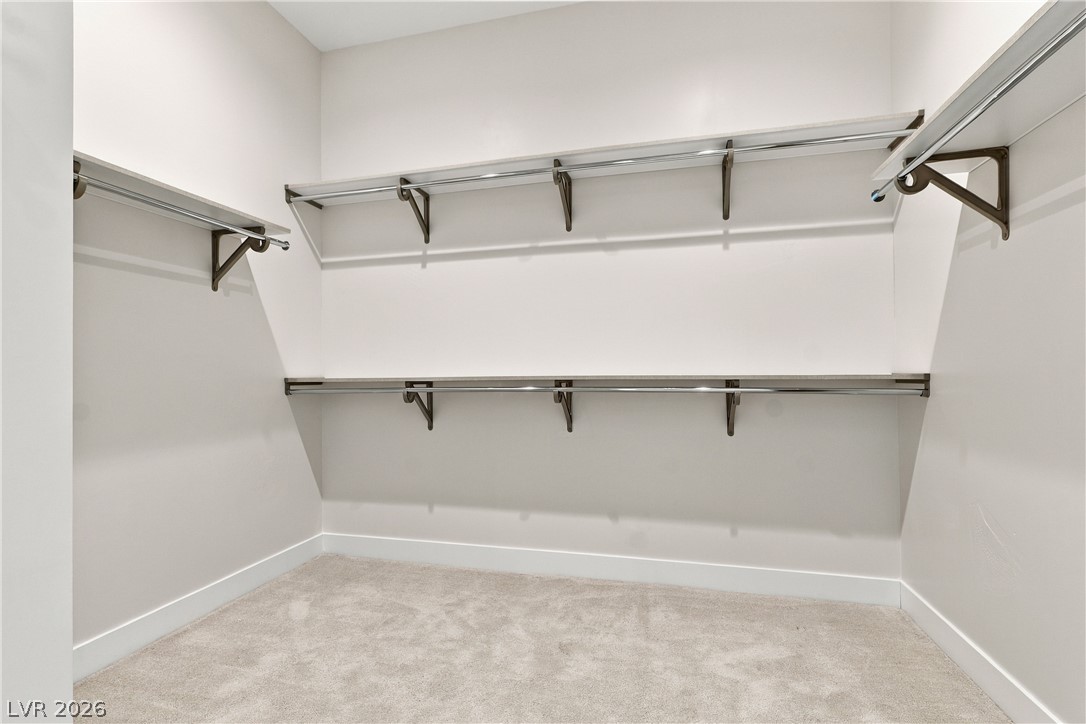 10761 Canyon Bloom Drive Property Photo 53