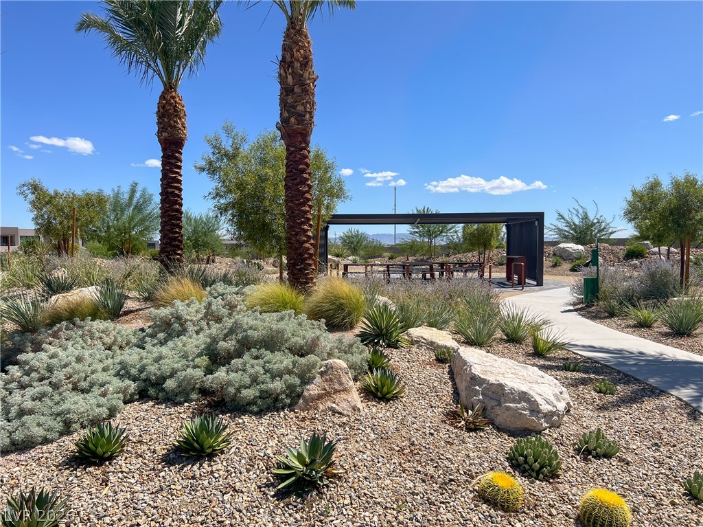 10761 Canyon Bloom Drive Property Photo 84