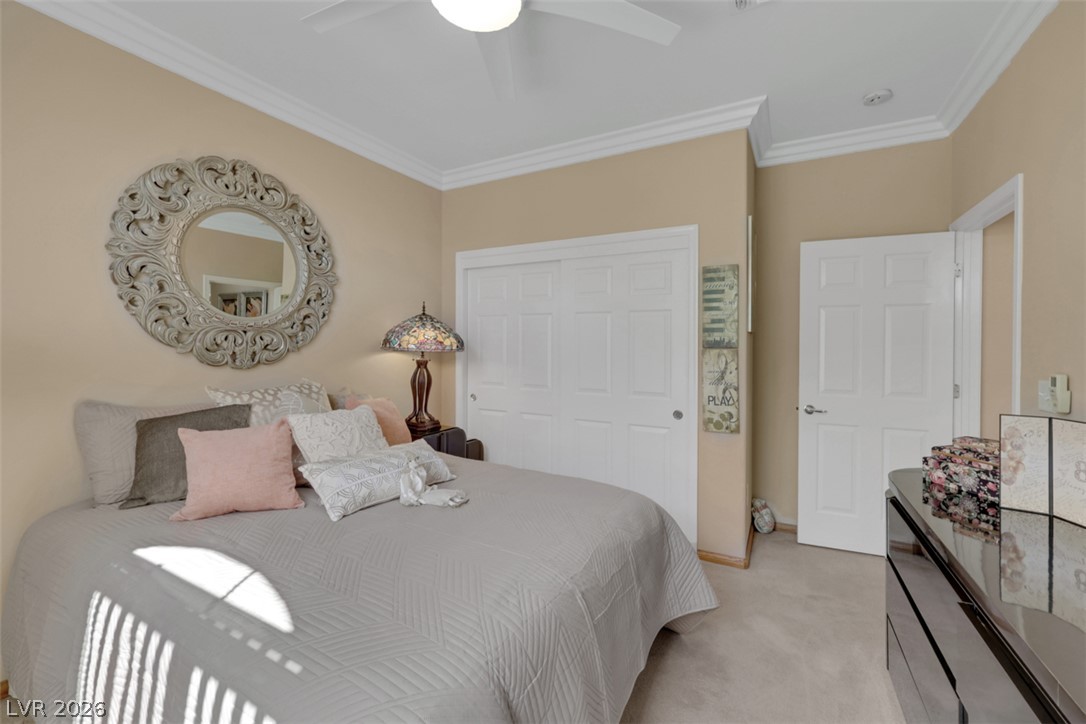3050 Seaford Peak Drive Property Photo 39