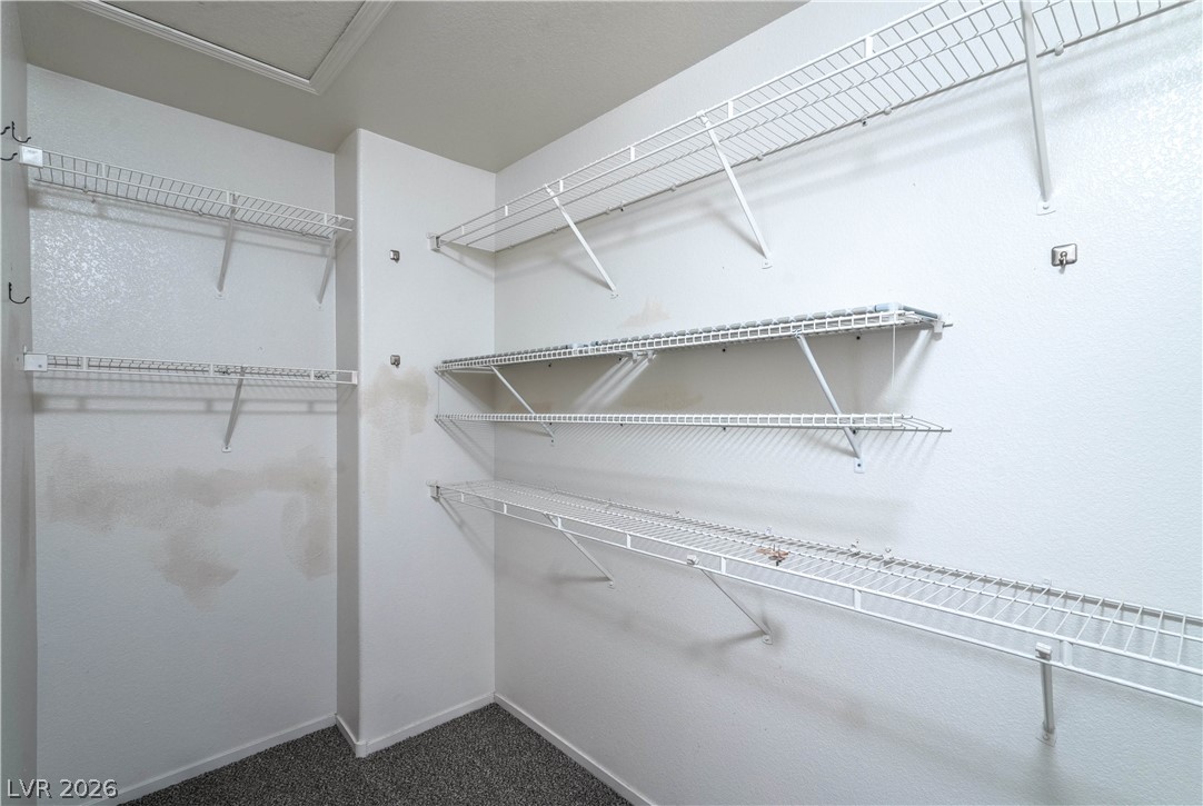 2704 Wooly Rose Avenue Property Photo 14
