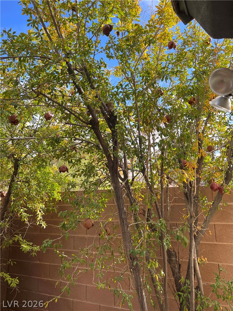 2164 Lone Desert Street Property Photo 44