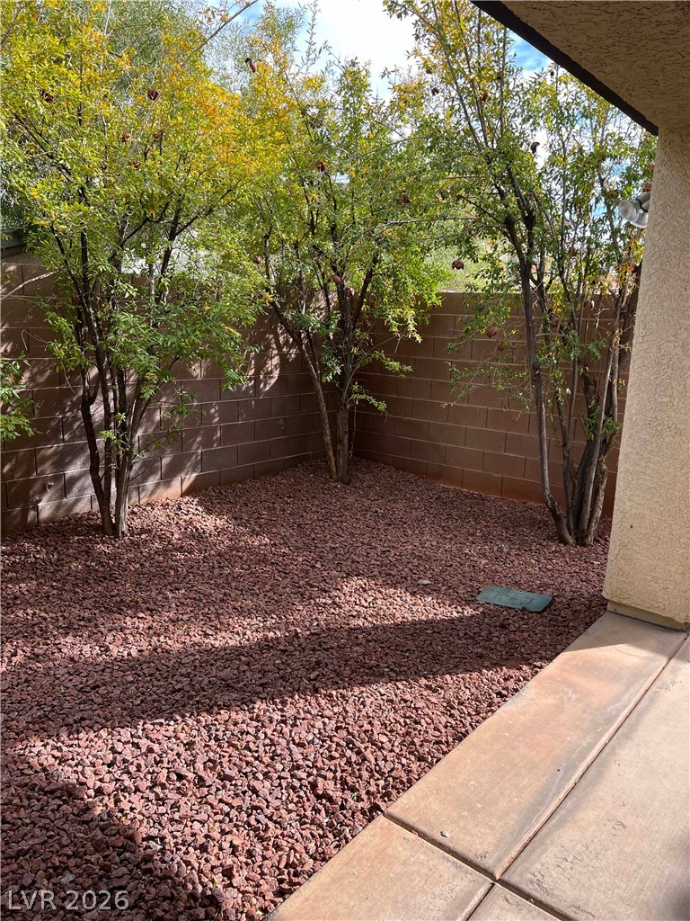 2164 Lone Desert Street Property Photo 49