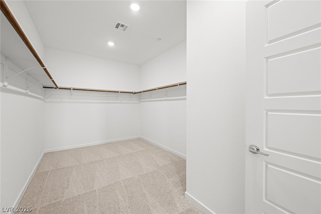 1480 Bianca Falls Drive Property Photo 23