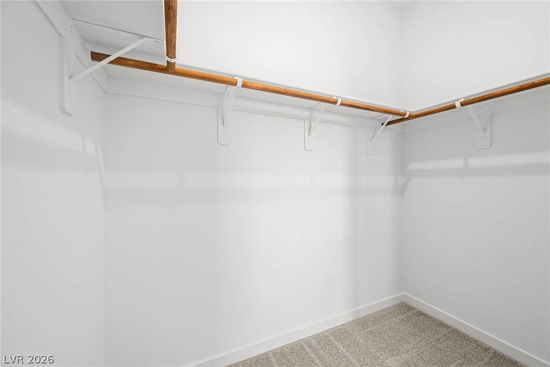 9567 Agave Grove Court Property Photo 19
