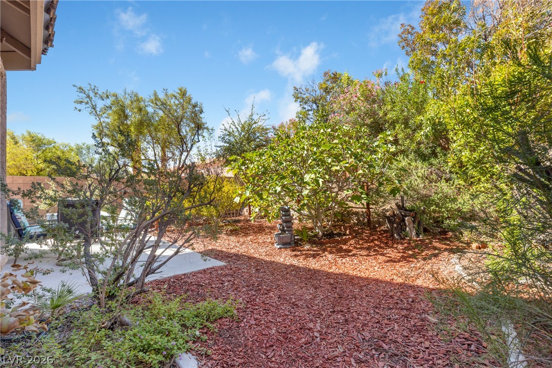 545 Aspen Leaf Street Property Photo 71