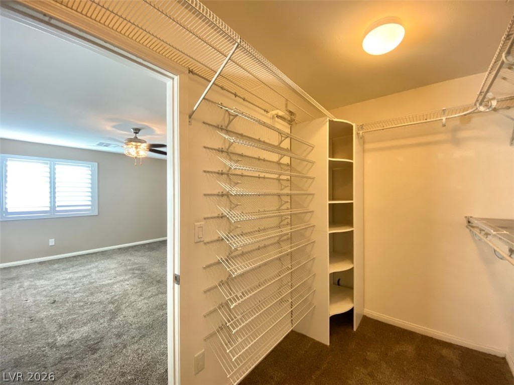 3621 Vino Biano Avenue Property Photo 28
