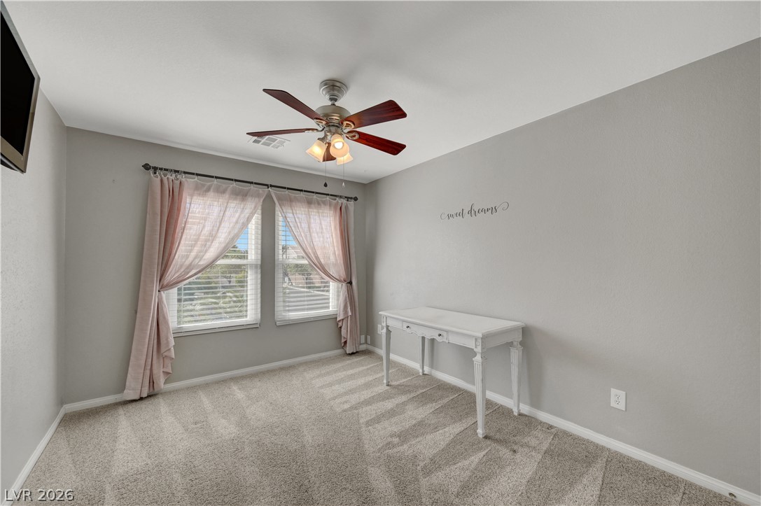 8716 Melissa Meadows Street Property Photo 50