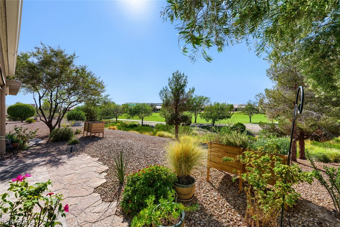 7421 Shelduck Street Property Photo 3