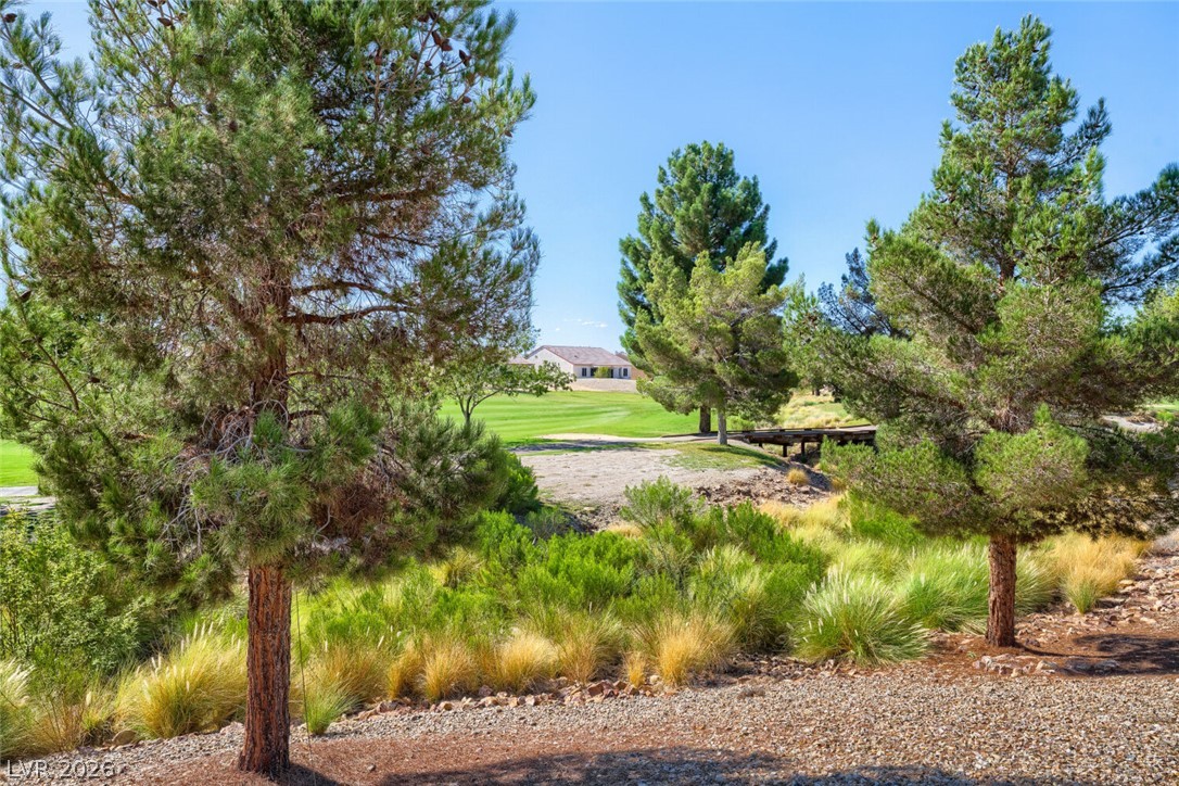 7421 Shelduck Street Property Photo 32