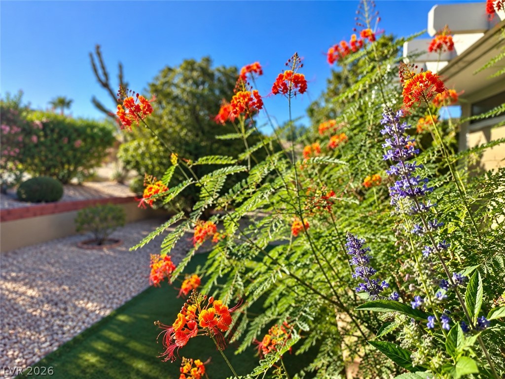 8613 Villa Ridge Drive Property Photo 15