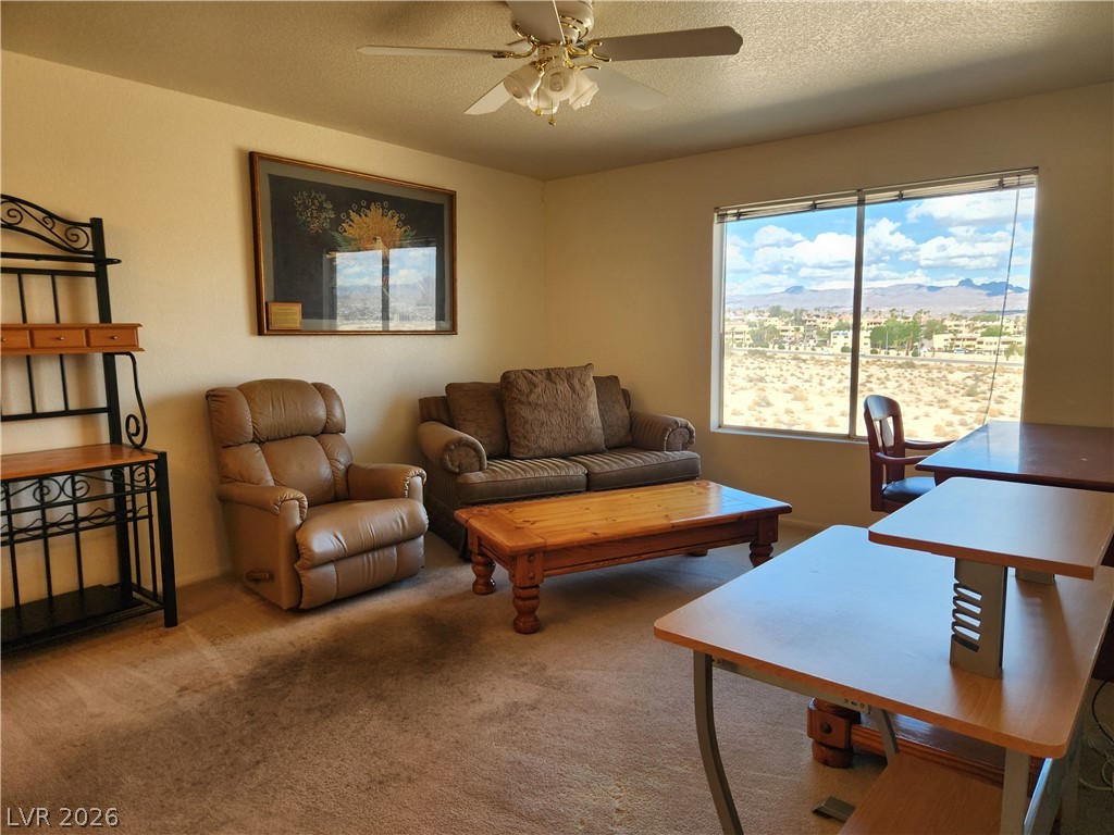 2016 Mesquite Lane 303 Property Photo 6