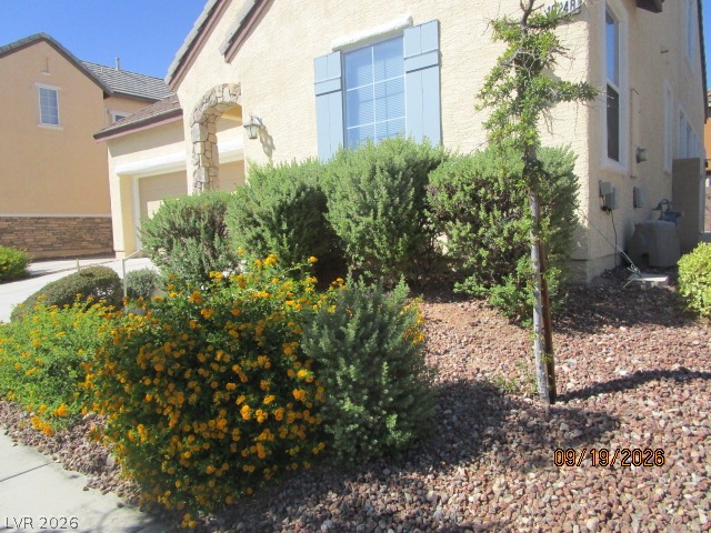 10248 Bayhead Beach Avenue Property Photo 6
