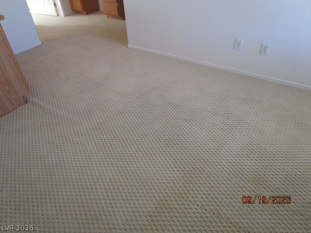 10248 Bayhead Beach Avenue Property Photo 27