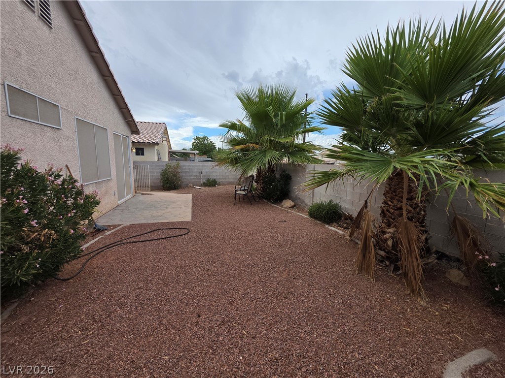 1251 Desert Solitude Street Property Photo 4