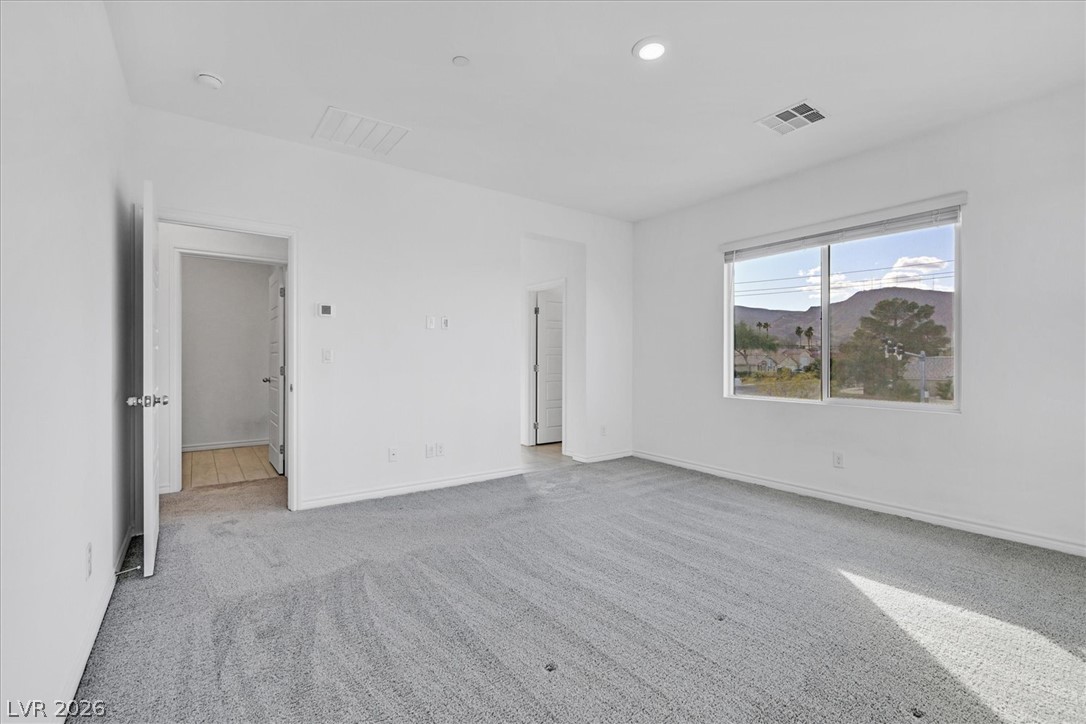 303 Fletcher Falls Street Property Photo 14