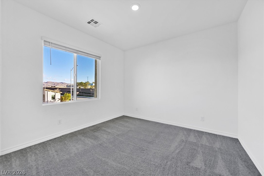 303 Fletcher Falls Street Property Photo 19