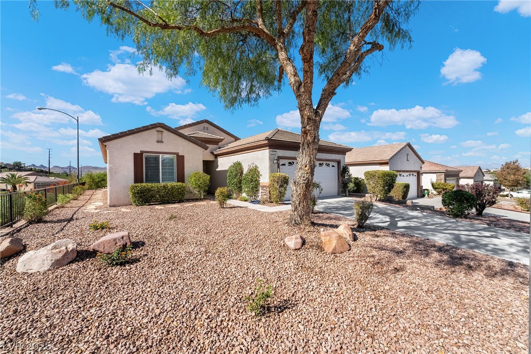 2593 Corvus Street Property Photo 3