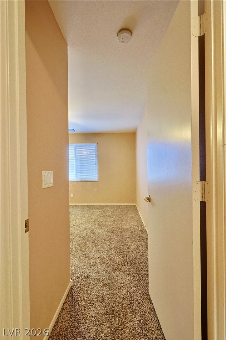10048 Delicate Dew Street Property Photo 20