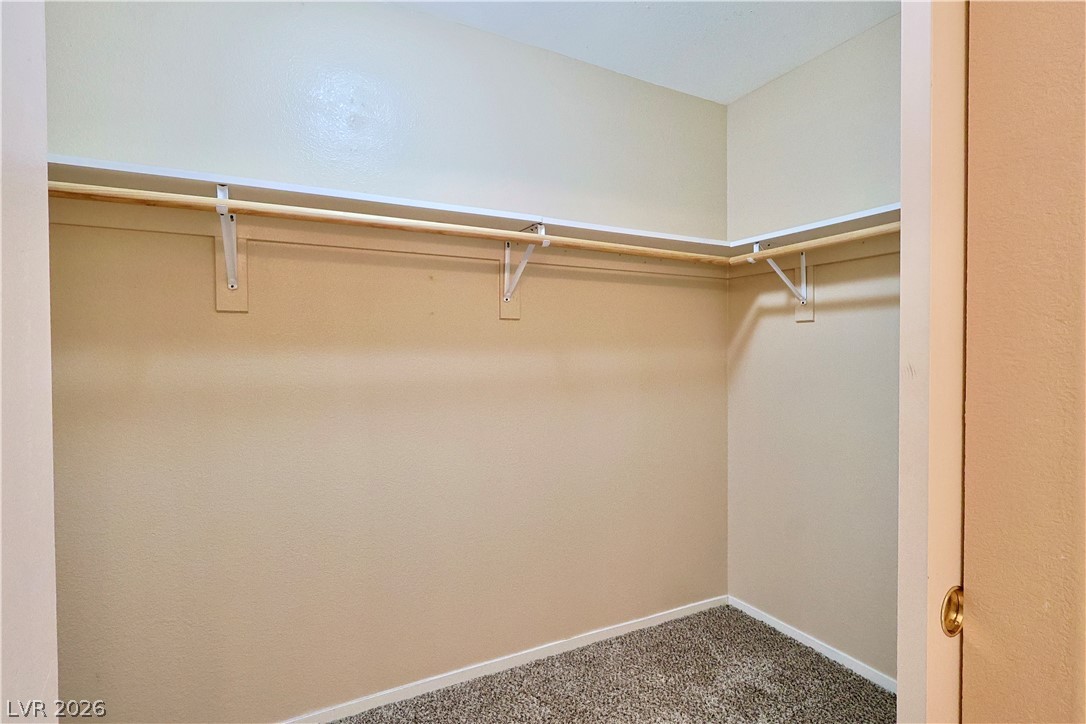 10048 Delicate Dew Street Property Photo 24