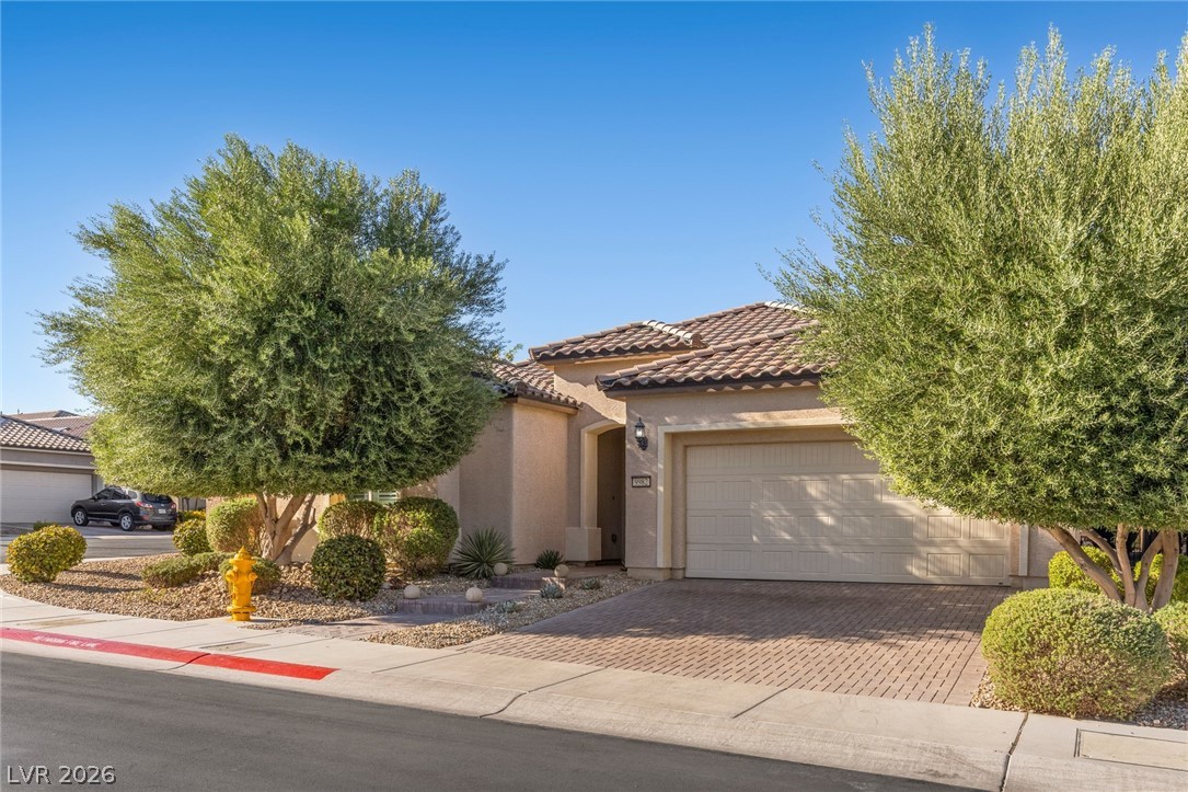 9982 Peaceful Peaks Avenue Property Photo 63