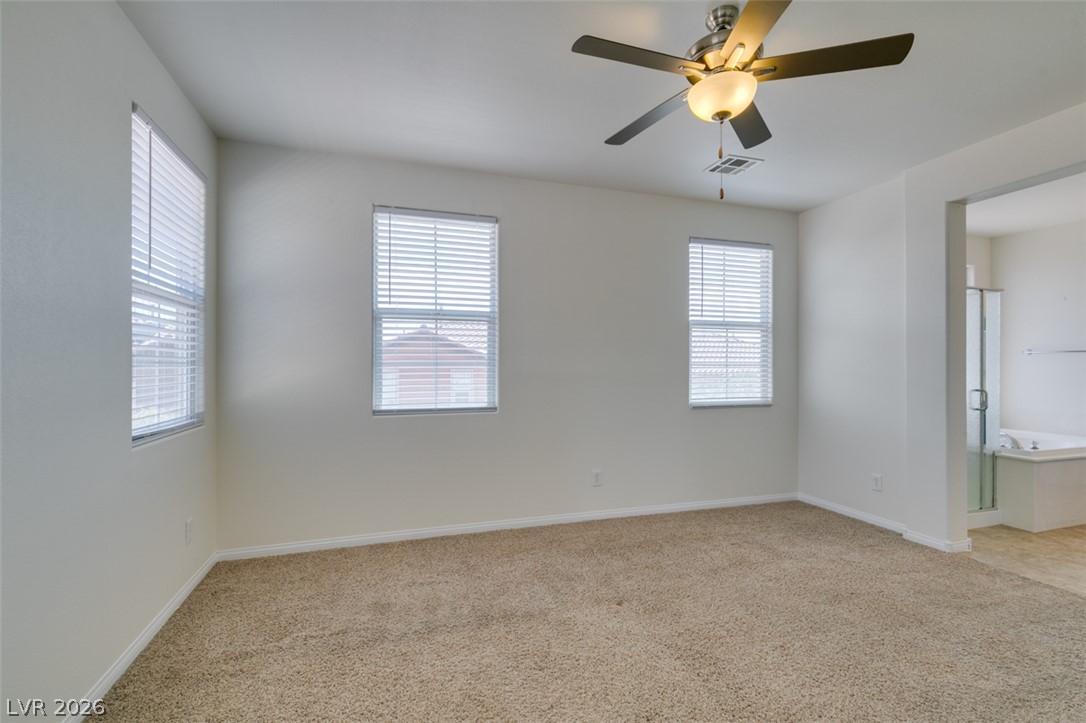 10006 Dancing Lasso Court Property Photo 59