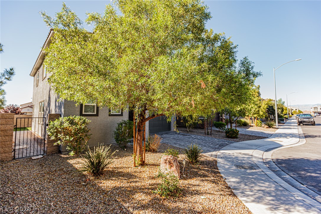 1911 Luxor Lights Avenue Property Photo 4