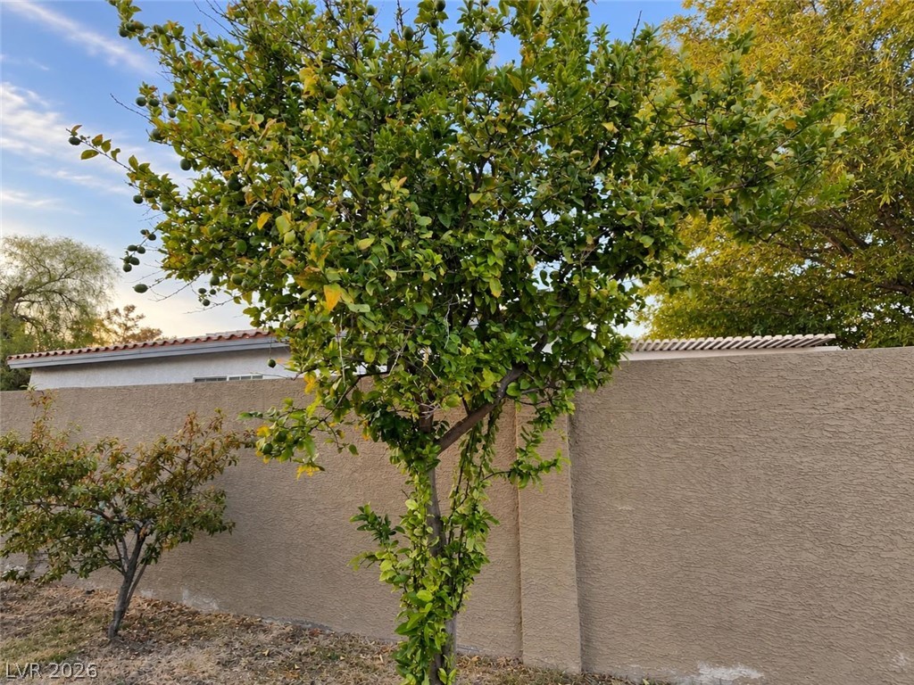 8652 Heatherstone Street Property Photo 10