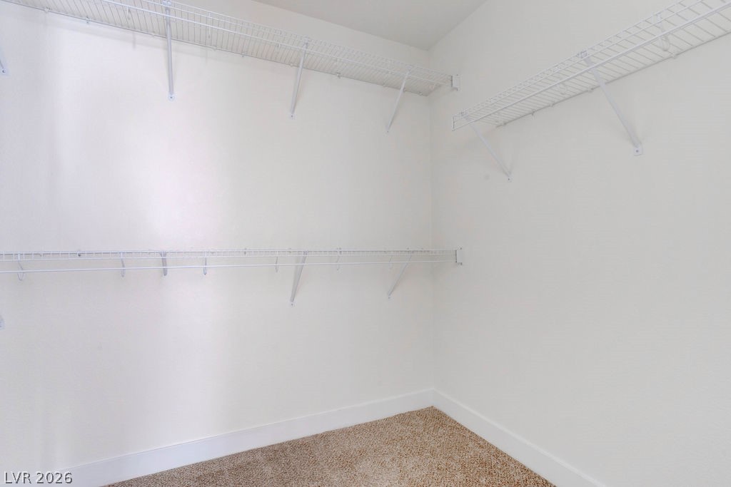 3164 Degas Tapestry Avenue Property Photo 21