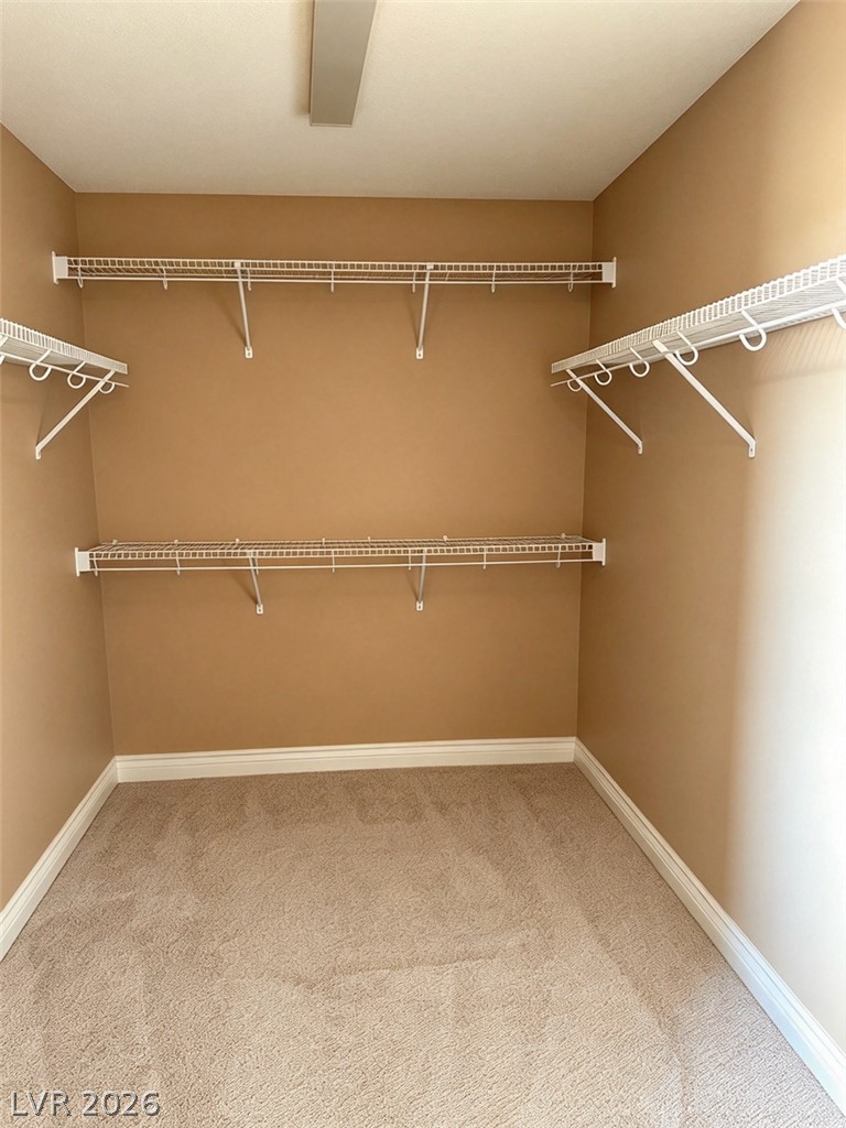 11022 Cherokee Landing Street Property Photo 28