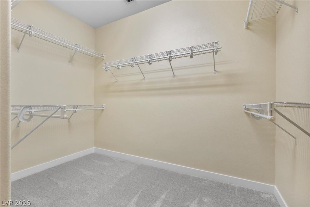 2860 Alder Lake Court Property Photo 15