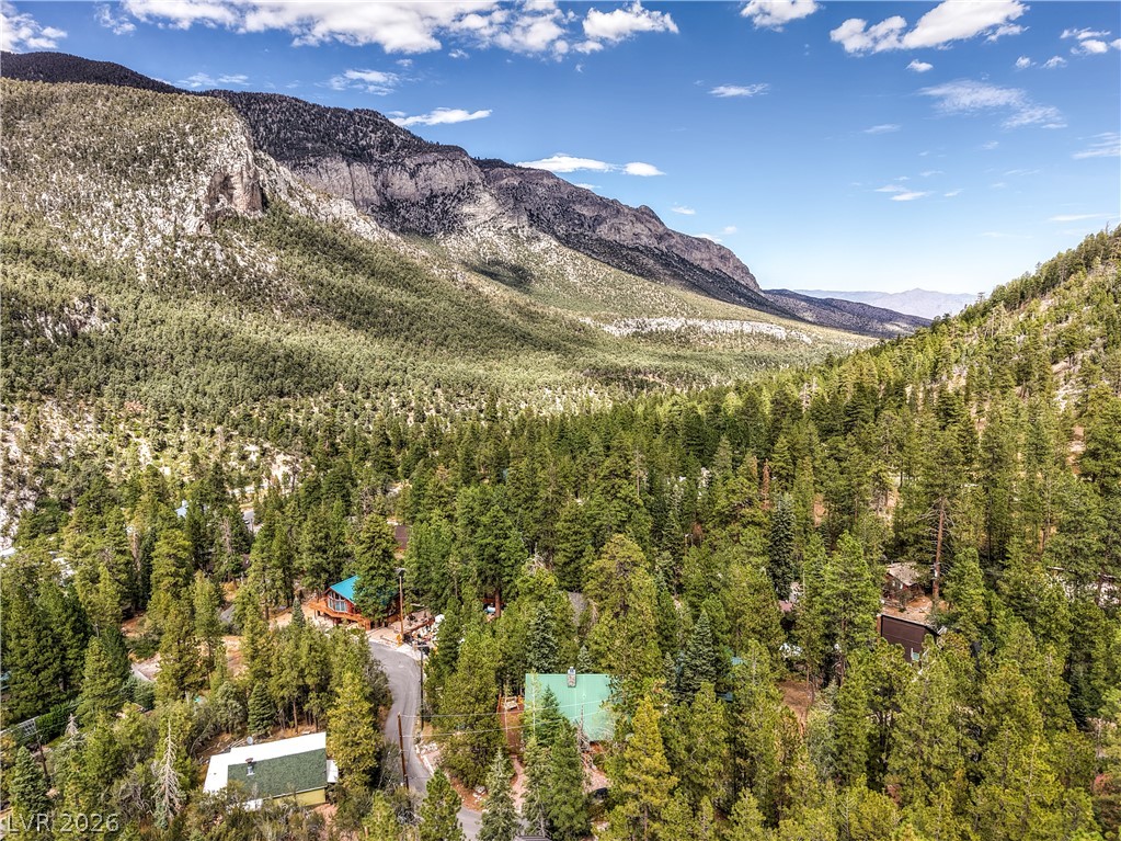 322 Ski Trail Road Property Photo 47