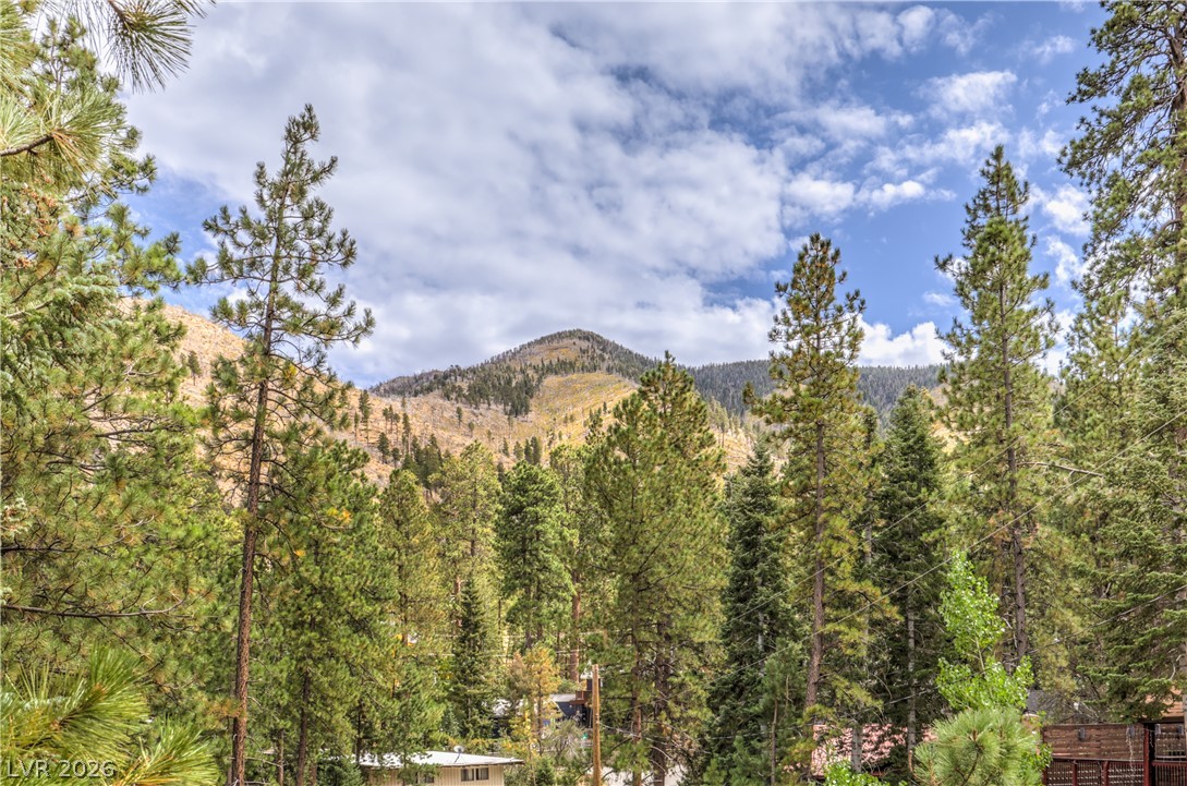 322 Ski Trail Road Property Photo 48