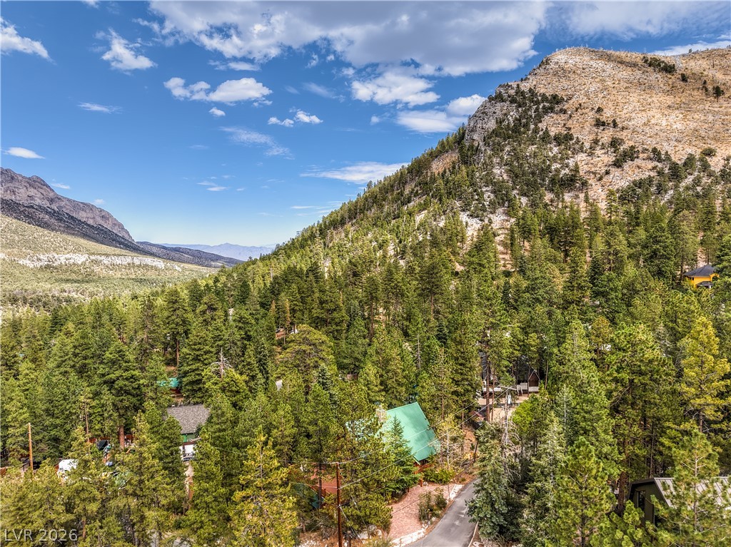322 Ski Trail Road Property Photo 49