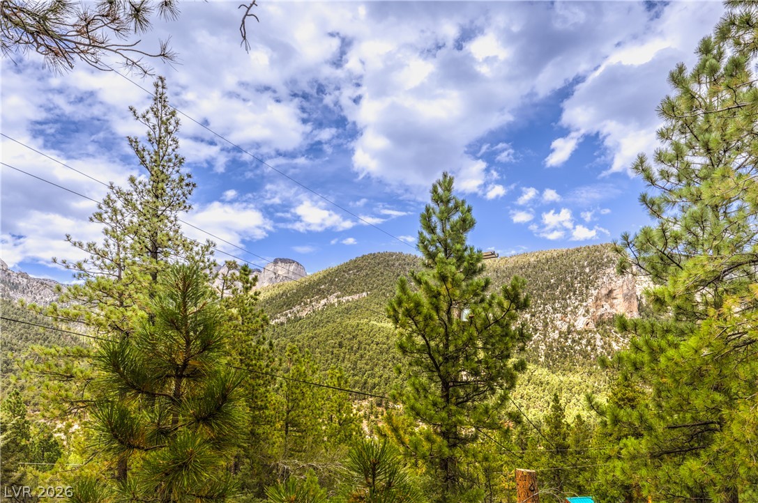 322 Ski Trail Road Property Photo 51