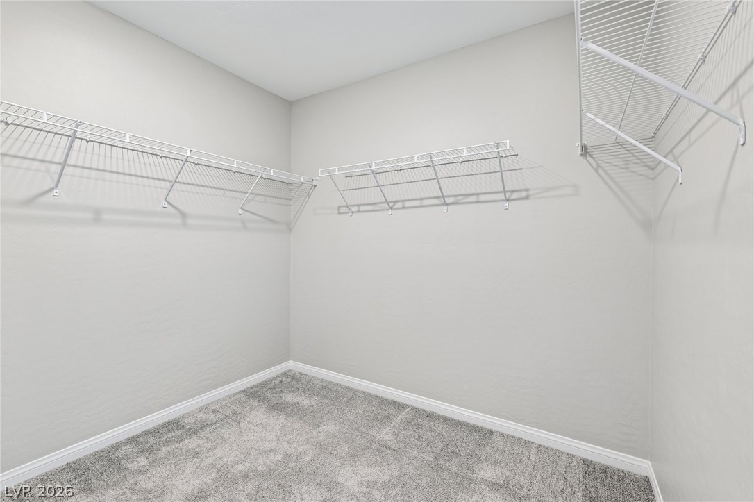 384 Wind Poppy Street Property Photo 48