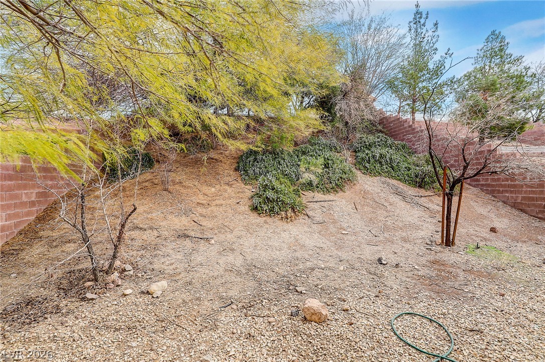 1172 Drowsy Water Court Property Photo 41