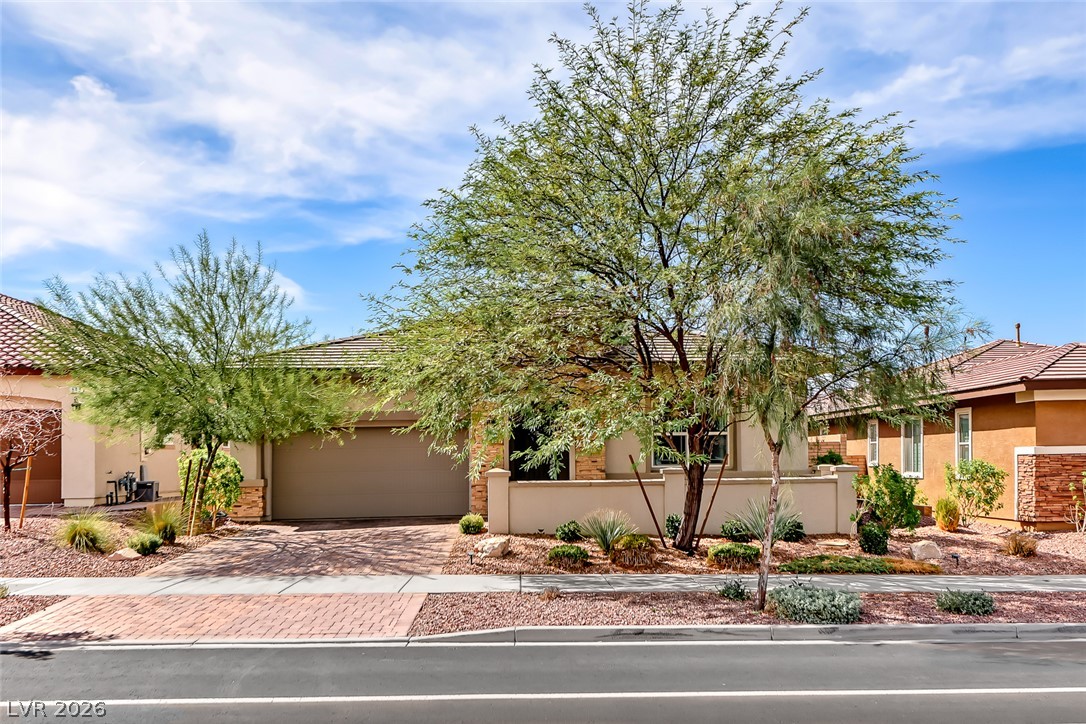 597 Cadence Vista Drive Property Photo 1