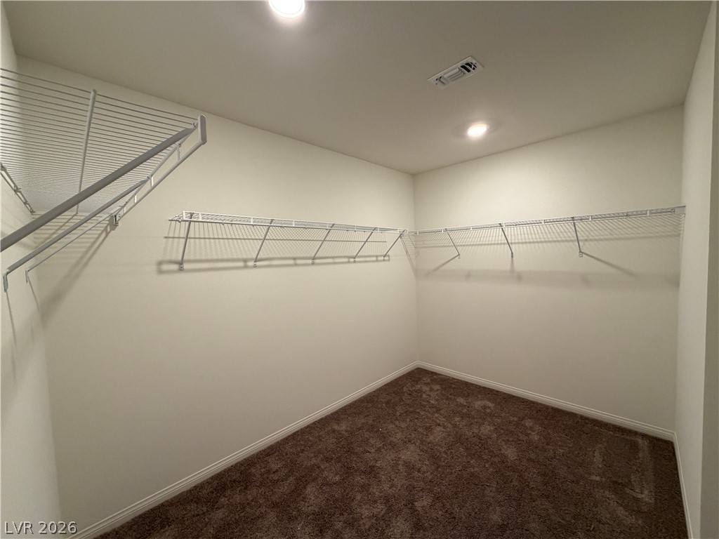 7056 Dandelion Park Avenue Property Photo 11