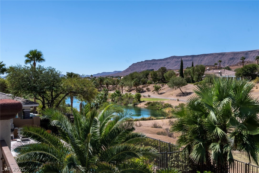 2837 Turtle Head Peak Drive Property Photo 42