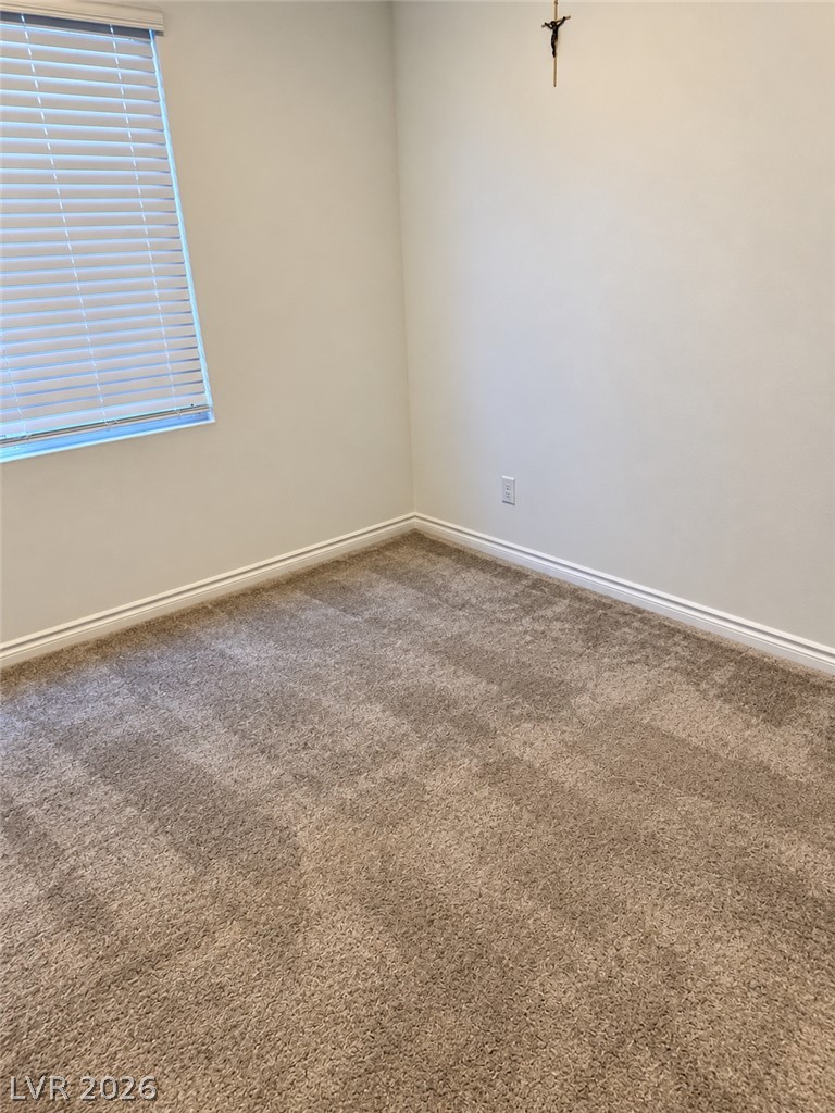 296 Fossil Falls Street Property Photo 22